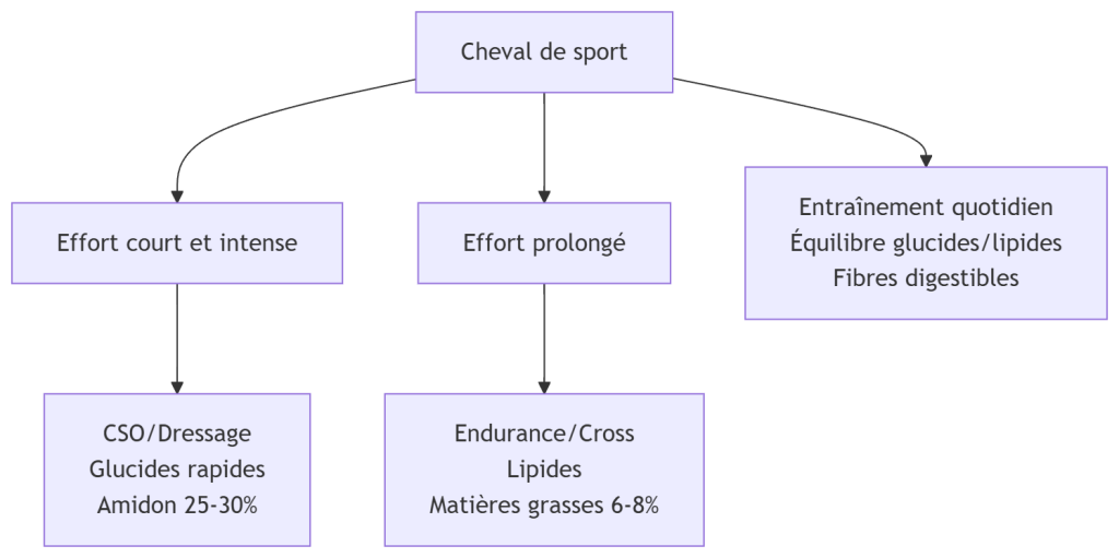 Diagramme Cheval de sport, Effort court et intense