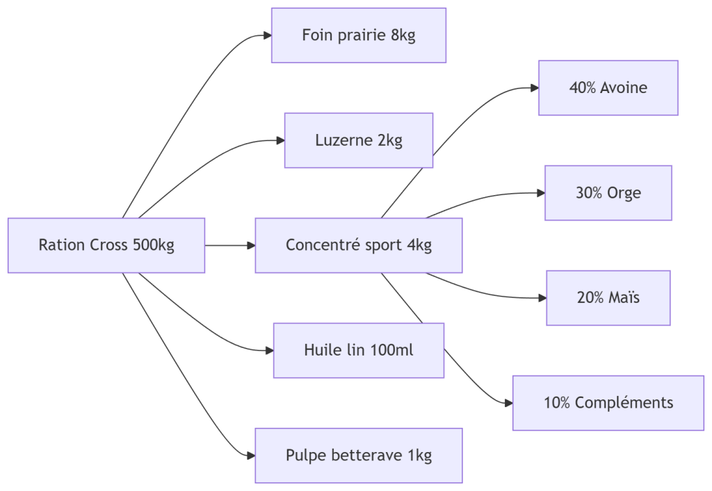Diagramme Ration Cross 500kg