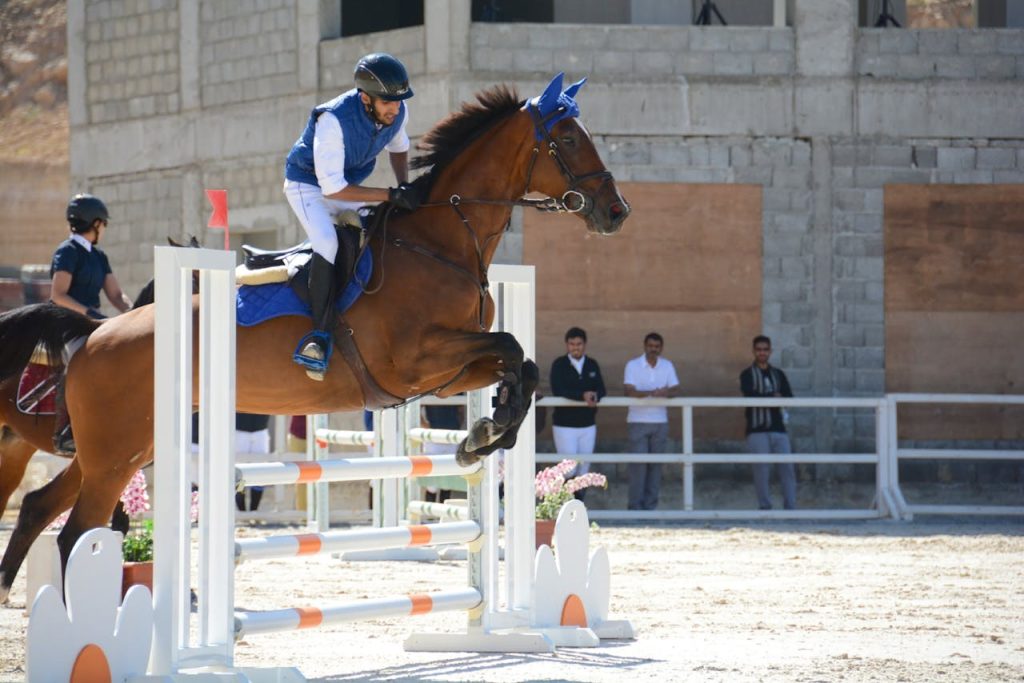 technique française saut obstacles cheval franchissement