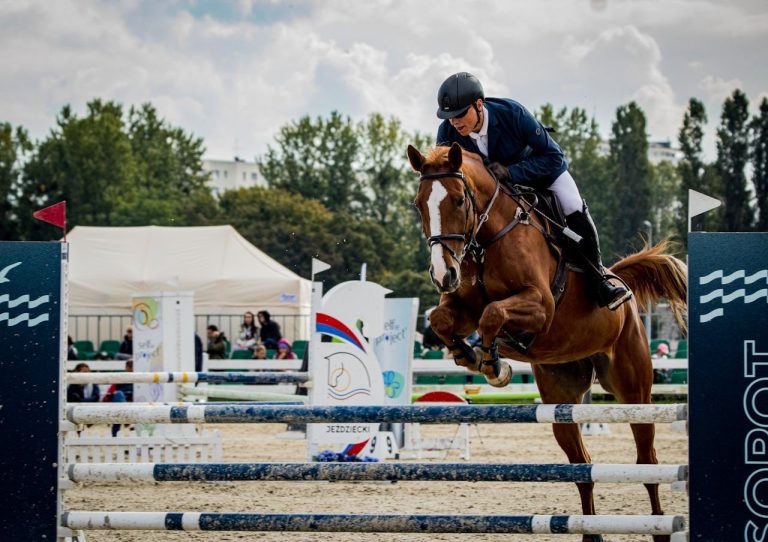 Cavalier français pratiquant le saut d'obstacles dans un cadre traditionnel avec son cheval