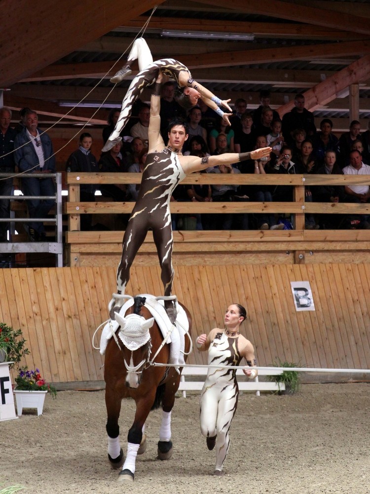 Figures gymniques et acrobatiques sur un cheval maintenu en mouvement circulaire par un longeur.