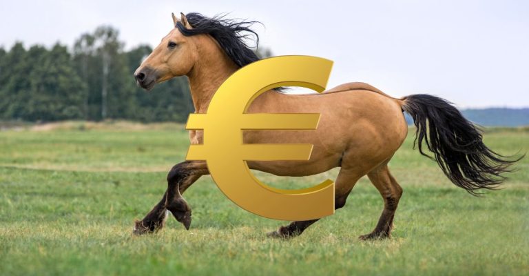 Prix du Cheval 2025 : Tendances, Comparatifs et Conseils d'Achat