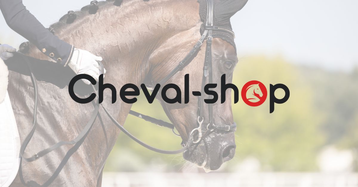 Cheval Shop et Selleries en Ligne : Guide Complet 2025
