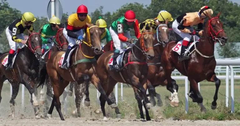 Expert du Turf : Méthode et Clés pour Parier Gagnant 2026