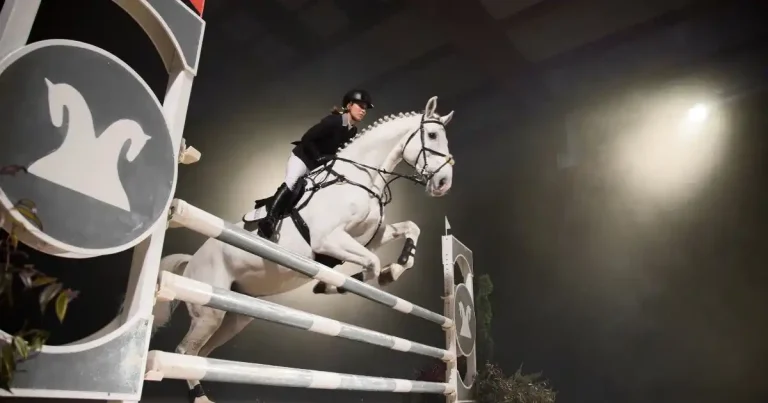 Jumping de Bordeaux 2026 : Programme & Infos Pratiques