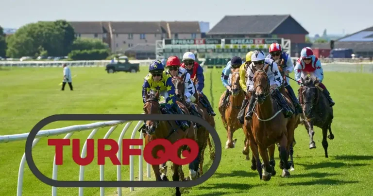 Turfoo : pronostics PMU et résultats Quinté (2025)