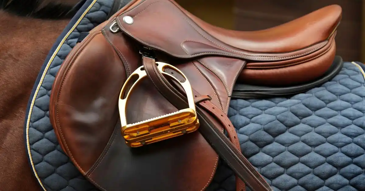 Comment Bien Choisir sa Selle d'Équitation ? Guide 2026