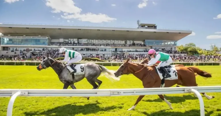 Hippodrome de Saint-Cloud : Guide Complet 2026 & Infos