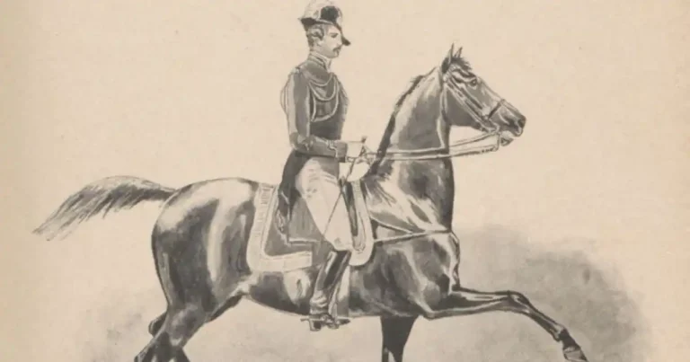 Partisan et Capitaine, les chevaux de Baucher