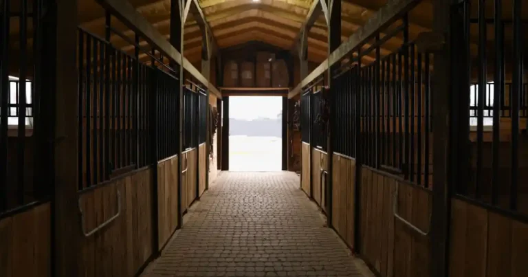 Barn Équestre en Bois : Guide Complet 2026 | 7 Conseils