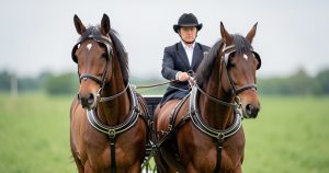 Saumur Attelage 2026 : L'essentiel sur le renouveau