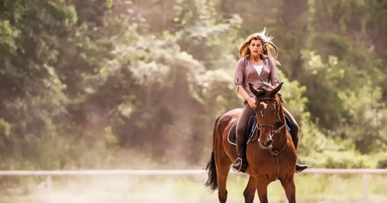 Liberty Horse Riding : Guide Complet Débutant 2026