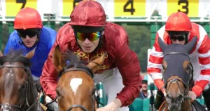 Mister Turf : Avis 2026, Pronostics Gratuits & Alternatives