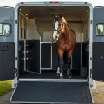 Van pour Chevaux : Guide Complet 2026 pour Bien Choisir