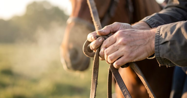 Les femmes et le cheval : une histoire qui galope