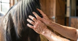 Olga Guseva, l'indispensable groom d'Alexandre Ayache