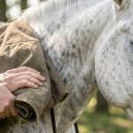 Préparer son cheval au matériel d'extérieur