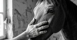Jean-Louis Sauvat : l'artiste qui sculpte le cheval comme on dresse