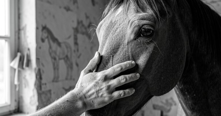 Jean-Louis Sauvat : l'artiste qui sculpte le cheval comme on dresse