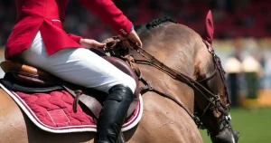 Pantalon d'équitation : guide complet pour bien choisir