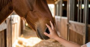 Cheval de Pâques 2026 : Redécouvrez Pâques au Poney-Club