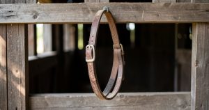 Disparition d'une agricultrice : le monde rural en deuil