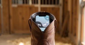 Mes-Ecuries.com : le guide complet pour digitaliser votre centre équestre en 2026