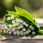 Muguet du 1er mai : attention, une tradition qui peut tuer vos animaux