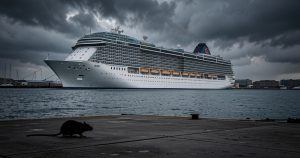 Hantavirus en croisière : l'OMS temporise, moi j'ai un regard différent