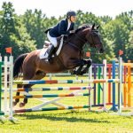 Équitation obstacle : guide complet du saut d'obstacles (CSO) – débutants et confirmés