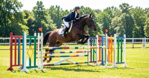 Équitation obstacle : guide complet du saut d'obstacles (CSO) – débutants et confirmés