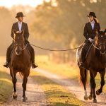 Maîtriser le travail en dextre à cheval : étapes et sécurité