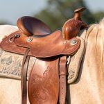 Selle Western : Guide Complet pour Choisir, Ajuster et Entretenir votre Selle