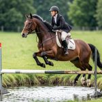 Familiariser son cheval aux obstacles creusés