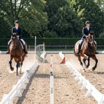 Serpentine à 4 boucles : guide complet pour maîtriser l'exercice de dressage