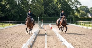 Serpentine à 4 boucles : guide complet pour maîtriser l'exercice de dressage