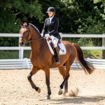 Reprises de dressage Club 2024 : le guide FFE