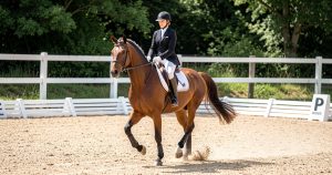 Reprises de dressage Club 2024 : le guide FFE