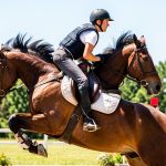 Gilet équitation protection : guide complet 2026 airbag, coque, dorsale