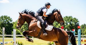 Gilet équitation protection : guide complet 2026 airbag, coque, dorsale
