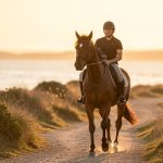 Activités équestres estivales 2026 : vivez une expérience unique avec les chevaux