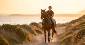Activités équestres estivales 2026 : vivez une expérience unique avec les chevaux