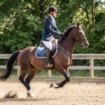Équitation en anglais : vocabulaire complet, disciplines et différences UK/US