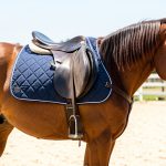 Tapis d'équitation 2026 : le guide complet pour choisir le meilleur tapis de selle