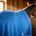 Couverture et guêtres rafraîchissantes CovallieroCool pour cheval