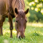 Acétamipride : un pesticide interdit qui divise agriculteurs et scientifiques