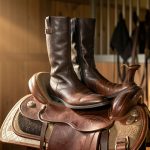 Bottes d'équitation 2026 : le guide ultime pour choisir les meilleures selon votre discipline