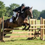 Concours Complet d'Équitation : Le Guide Complet du Triathlon Équestre en 2026