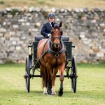 Attelage : le duel France-Suisse vire en faveur de Fabrice Martin au Haras du Pin