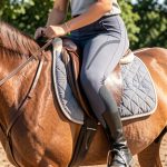 Pantalon d'équitation femme : guide complet basanes, fond intégral, legging (2026)